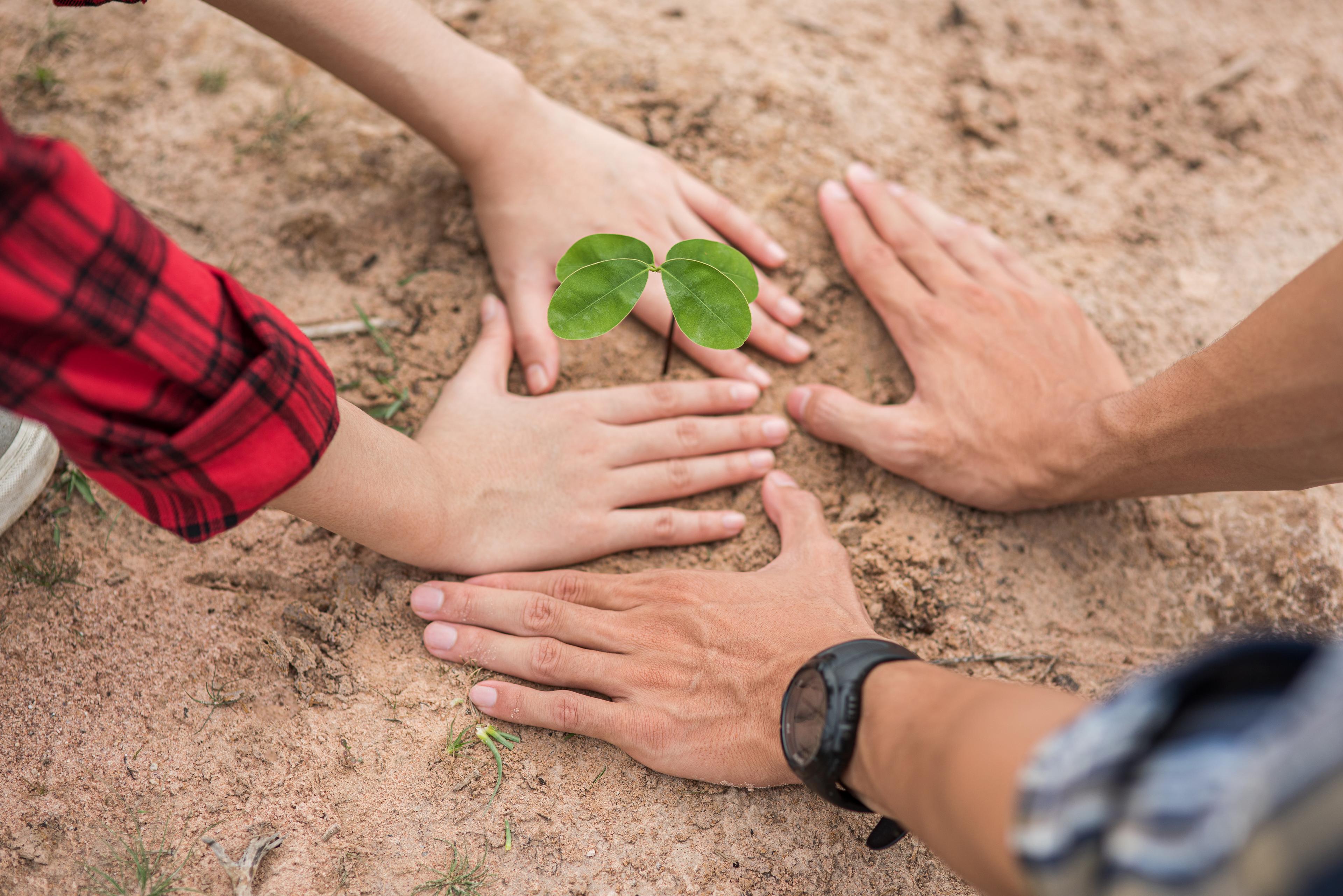 Our Environmental Commitment